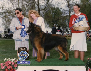 chazG1pedigreeaward.jpg