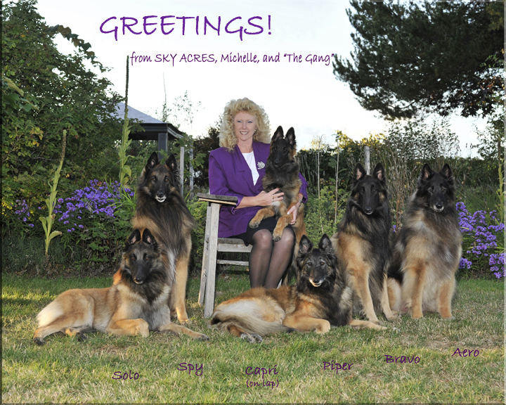 2009Greetingsweb.jpg
