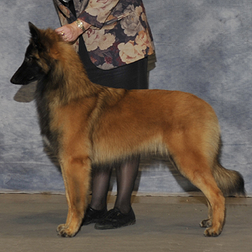 Capri8mos.jpg