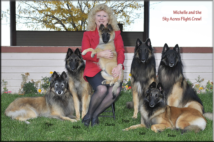 sky acres belgian tervuren